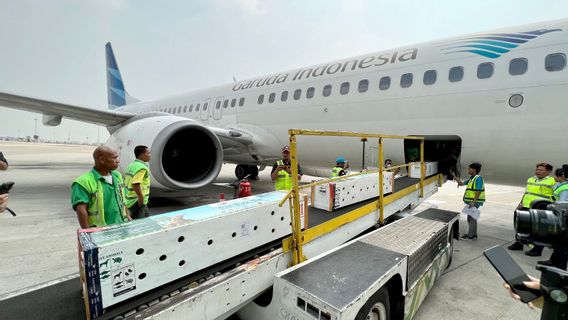 Erick Thohir 将合并Garuda,Citilink和Pelita Air