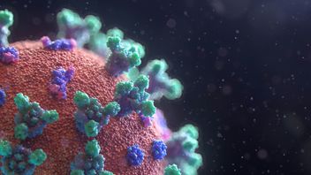 Japan Warns of Nipah Virus Risk for Citizens in India
