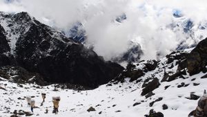 Nepal dan Tibet Tutup Wilayah Everest karena Hujan Salju Lebat, 1.500 Pendaki Tersesat