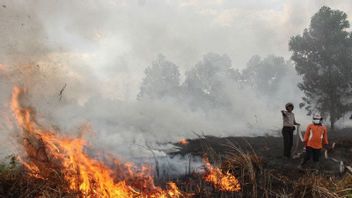 西カリマンタンのパーム油会社は、火災と火災の軽減を実施することを約束します