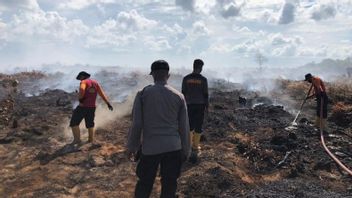 ألقت الشرطة القبض على محارق الأراضي في روهيل الذي صنع 3 هكتارات من منطقة لحرائق الأراضي