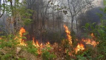 警报!一些有森林火灾可能性的地区