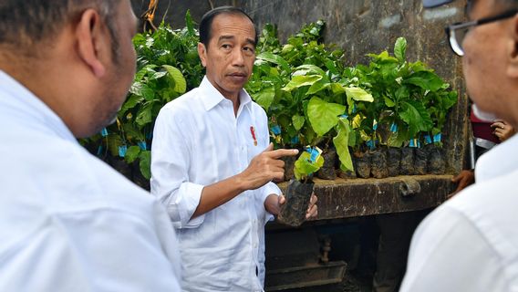 Jokowi doit ouvrir directement la Coupe présidentielle de 2024