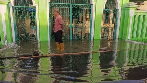 amayu Rainbow Rob, 100 hectares de sawah des agriculteurs touchés