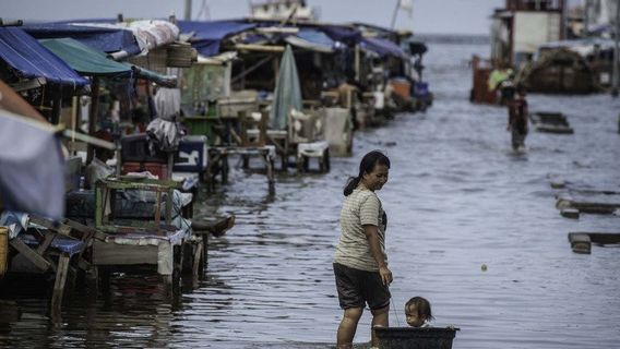 هناك خطر حدوث فيضانات في جاكرتا الساحلية روب حتى 10 يناير ، حاكم AJ: سالين يانغ بايك ساجا