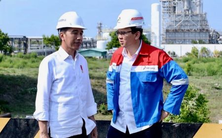 Buntut Komentar Ahok, Komisi VI DPR Akan Panggil Direksi Pertamina