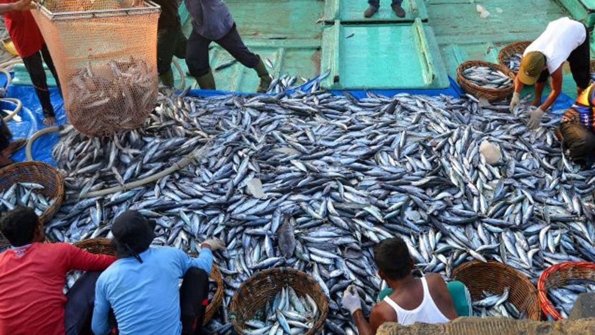 Nelayan Aceh Dilarang Melaut Selama 3 Hari Saat Iduladha, Ini Sebabnya