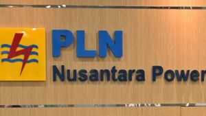 PLN Nusantara Power Produksi 66,8 Juta MWh Energi Listrik Tahun 2023