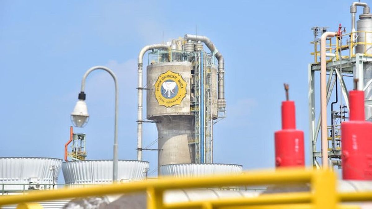 تلقي إمدادات الغاز من ميدكو المملوكة من قبل التكتل الراحل عارفين بانيغورو ، مصنع الأسمدة إسكندر الشاب يعود إلى العمليات الطبيعية