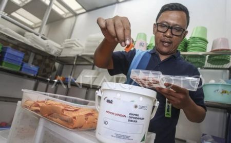 Kemenkes Tebar Telur Nyamuk Wolbachia di Kupang Atasi Demam Berdarah, Begini Cara Kerjanya