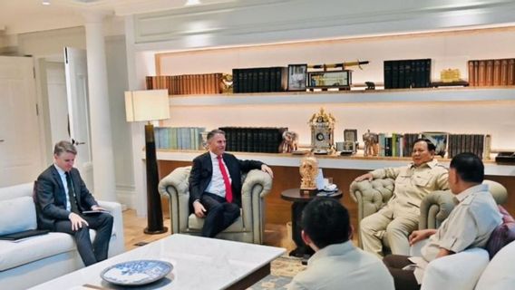 Tiba di Jakarta, Presiden Prabowo Terima Kunjungan Wakil PM Australia