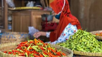 Rainy Season, The Price Of Cayenne Pepper In Yogyakarta Reaches Rp75,000 Per Kg