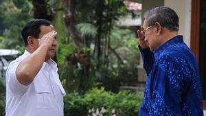 Gerindra Bantah Lobi Prabowo–SBY Terkait Dukungan Pilkada DPRD