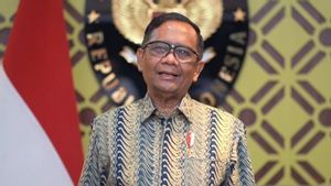 Mahfud MD: Pemerintah Segera Bentuk Pemerintahan 3 Provinsi Baru di Papua