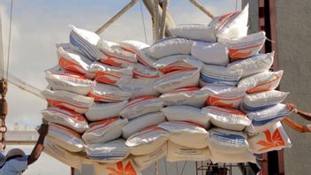 رئيس بولوغ باسانغ هدف امتصاص الأرز المحلي الذي يحقق 1 مليون طن