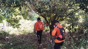 Tim SAR Hentikan Pencarian Warga Aceh Barat Hilang di Hutan Karet
