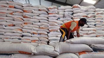 Regarding Illegal Rice Imports From Malaysia And Singapore, Ministry Of Agriculture: That's Not TRUE, Only Issues
