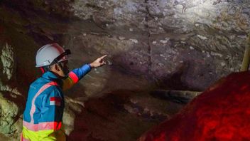 مؤشر التنوع البيولوجي آخذ في الارتفاع، دليل على التزام SIG في الحفاظ على التراث الأثري العالمي Bulu Sipong 4