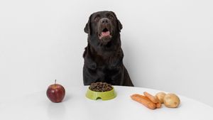 Les bons fruits pour les chiens, les choix sûrs et leurs avantages