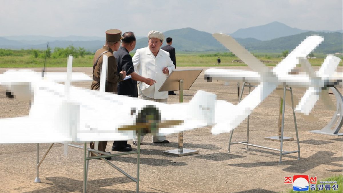 South Korean Military To Buy Polish UAVs To Face North Korean Suicide Drone Threats