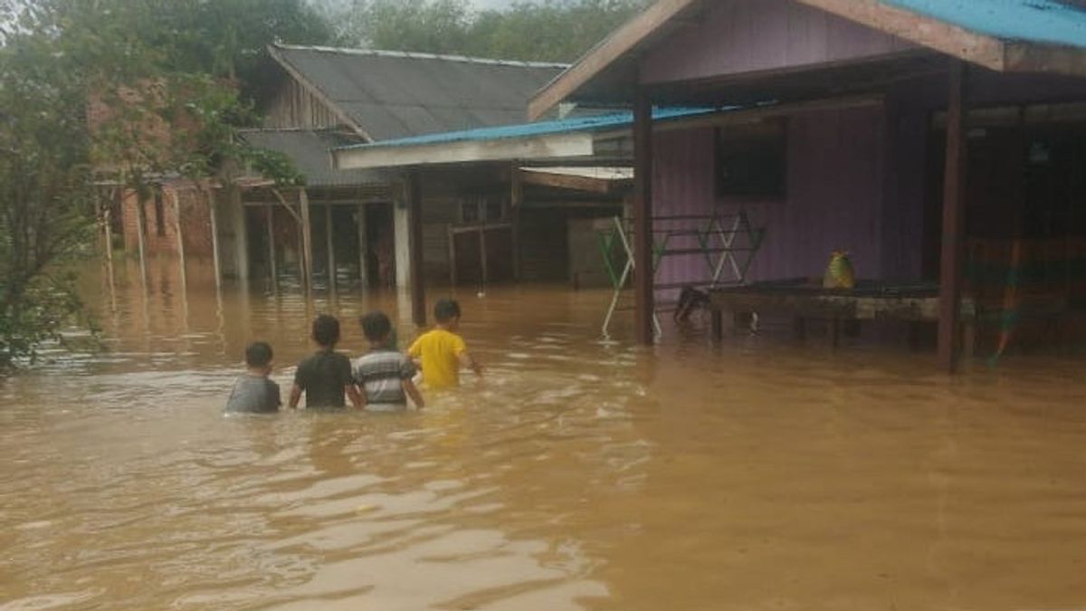 Hujan Deras, 2.021 Jiwa Terdampak Banjir di Kabupaten Tanah Laut