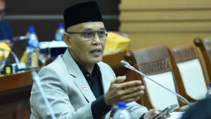Sukamta: Dokumen Solusi 2 Negara Positif, Tapi Belum Sentuh Akar Masalah