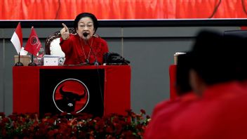 KPK关于Megawati Pasang Badan如果 Hasto被捕:我们纯粹是执法部门