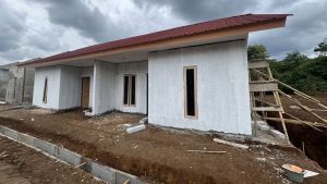 Material yang Cocok Untuk Rumah Tahan Gempa, Salah Satunya Kayu 
