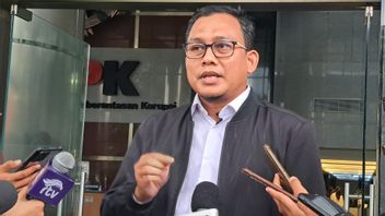 Dicekal ke Luar Negeri, KPK Minta Pengacara Roy Rening dan 3 Orang Lain di Kasus Lukas Enembe Kooperatif