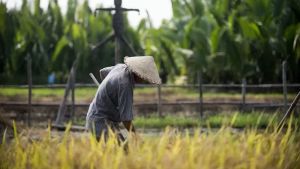 2 Petani Bawa Senpi Wara-wiri Dini Hari Pakai Motor Ditangkap di OKU Timur Sumsel