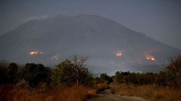 バリ島のアグン山の森林火災と陸上火災の停止は、強風によって制約されていました