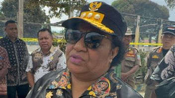 Profil Ribka Haluk, Sosok Wanita Berpengaruh dari Papua yang Dipanggil Bersama Calon Menteri Prabowo