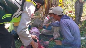 Pamit Cari Sayuran, Seorang Nenek Hilang 2 Hari dan Ditemukan Lemas di Gunung Pegghe Bondowoso