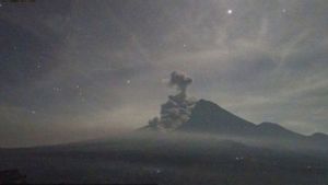    Gunung Semeru Erupsi Disertai Luncuran Awan Panas Sejauh 4,5 Km