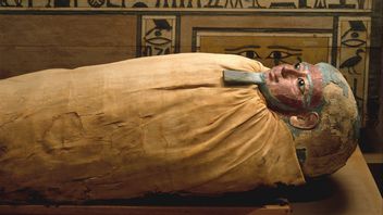 Universitas Irlandia Berencana Kembalikan Sisa Mumi dan Sarkofagus Berusia 2.000 Tahun ke Mesir