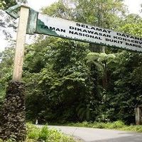 Tutupan Hutan Sumbar di Bawah 30 Persen, DPR Desak Rehabilitasi Bukit Barisan