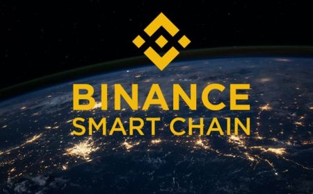 Binance Smart Chain dan Animoca Brands Suntikan Dana Sebesar Rp2,8 Triliun untuk Pengembangan GameFi