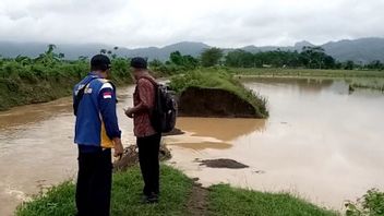 Des Dizaines D’hectares De Terres Agricoles à Tulungagung Inondés