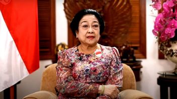 La Voix Rauque De Megawati Pleure Parce Que Jokowi Est Insulté Par Une Grenouille