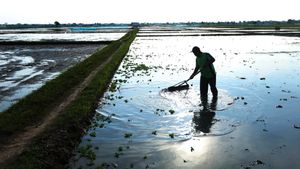   Dari Jalanan, Sawah, hingga Pantai, Warga Bersiap Penuhi Undangan Presiden Prabowo ke Istana Merdeka