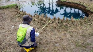 Wanti-wanti Sinkhole Melebar di Limapuluh Kota, Badan Geologi Terus Lakukan Kajian