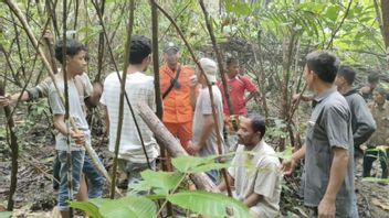 巴萨纳斯在亚齐的西梅卢岛森林中撤离ODGJ