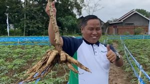 Diisukan Punya Tanah 1.000 Hektar, Narji Buka Suara