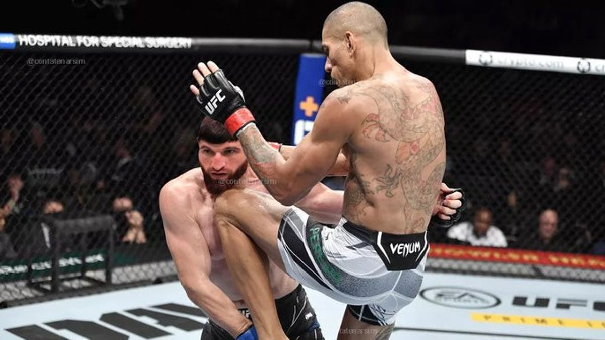 UFC 320: Alex Pereira Dapat Kesempatan Penebusan di Rematch Lawan Magomed Ankalaev