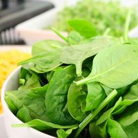 3 Vegetables That Are Good To Purchase In Frozen State