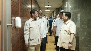 Prabowo tak Menoleransi Praktik Usaha Gilingan Padi yang Bikin Rugi Petani