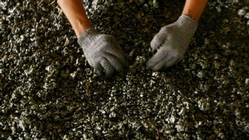 产量增加,淡水河谷股票预测分析师可以达到4,700印尼盾