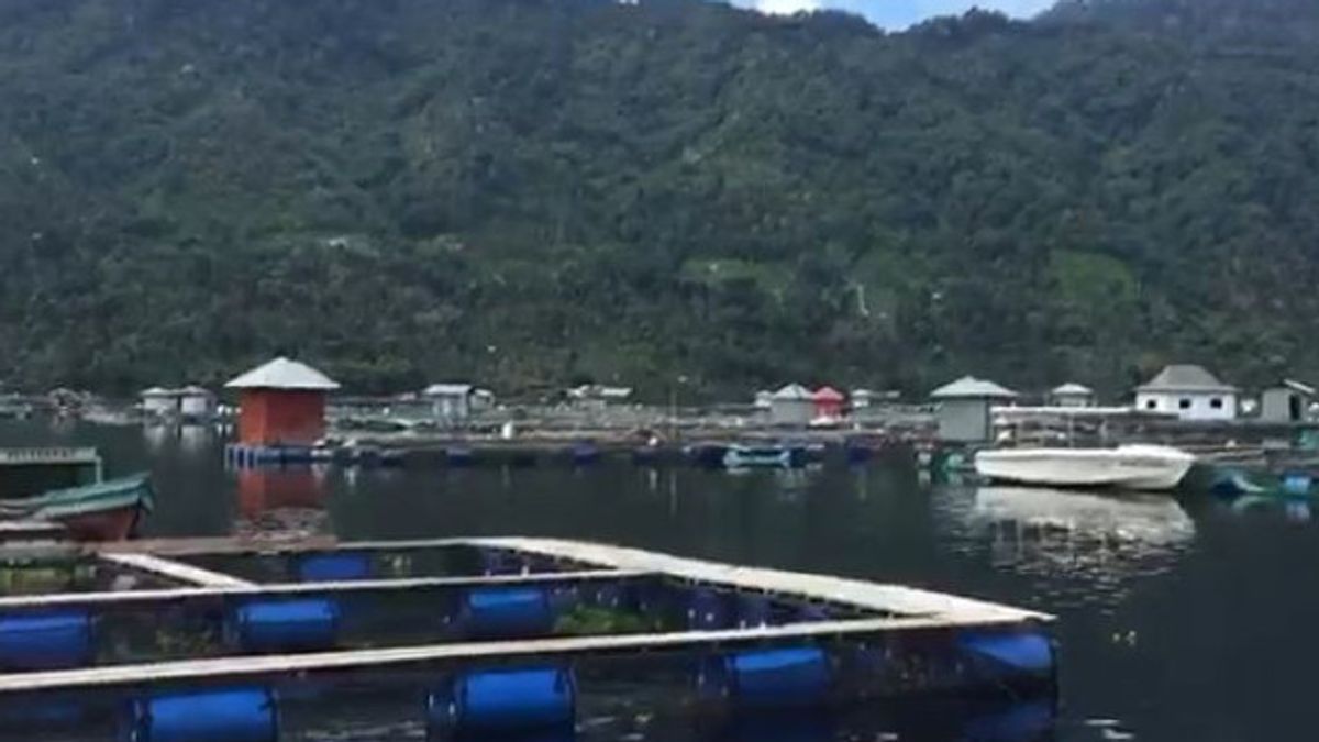Kadar Oksigen Danau Ranau Mulai Normal, Kasus Kematian Massal Ikan Berkurang Drastis