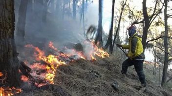 Schools In Padang Prepare To Learn Online If Karhutla Smoke Is Increasing