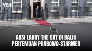 Bikin Suasana Cair, Aksi Larry the Cat di Balik Pertemuan Prabowo dan Keir Starmer di London